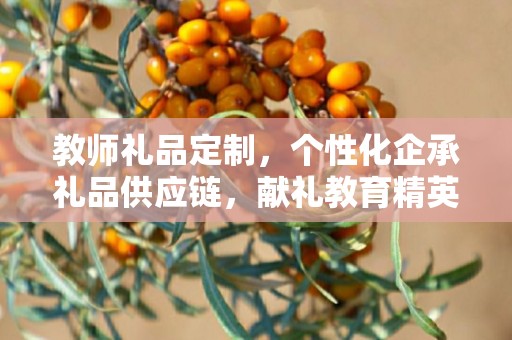 教师礼品定制，个性化企承礼品供应链，献礼教育精英